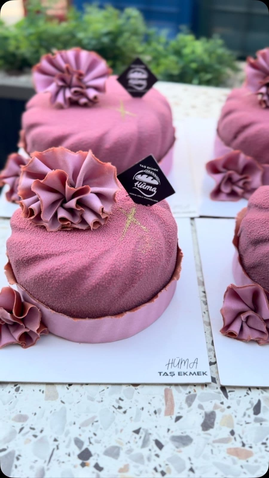 Pembe kadife kaplı çiçekli tek pasta